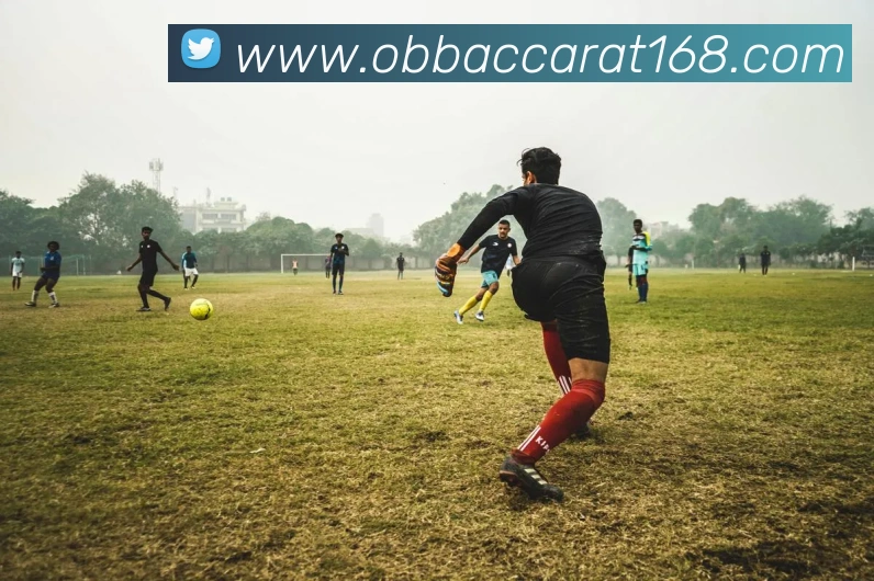 欧博视讯平台生态图