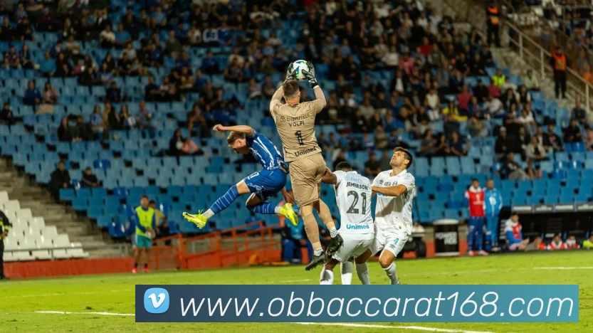 欧博视讯APP 封面图